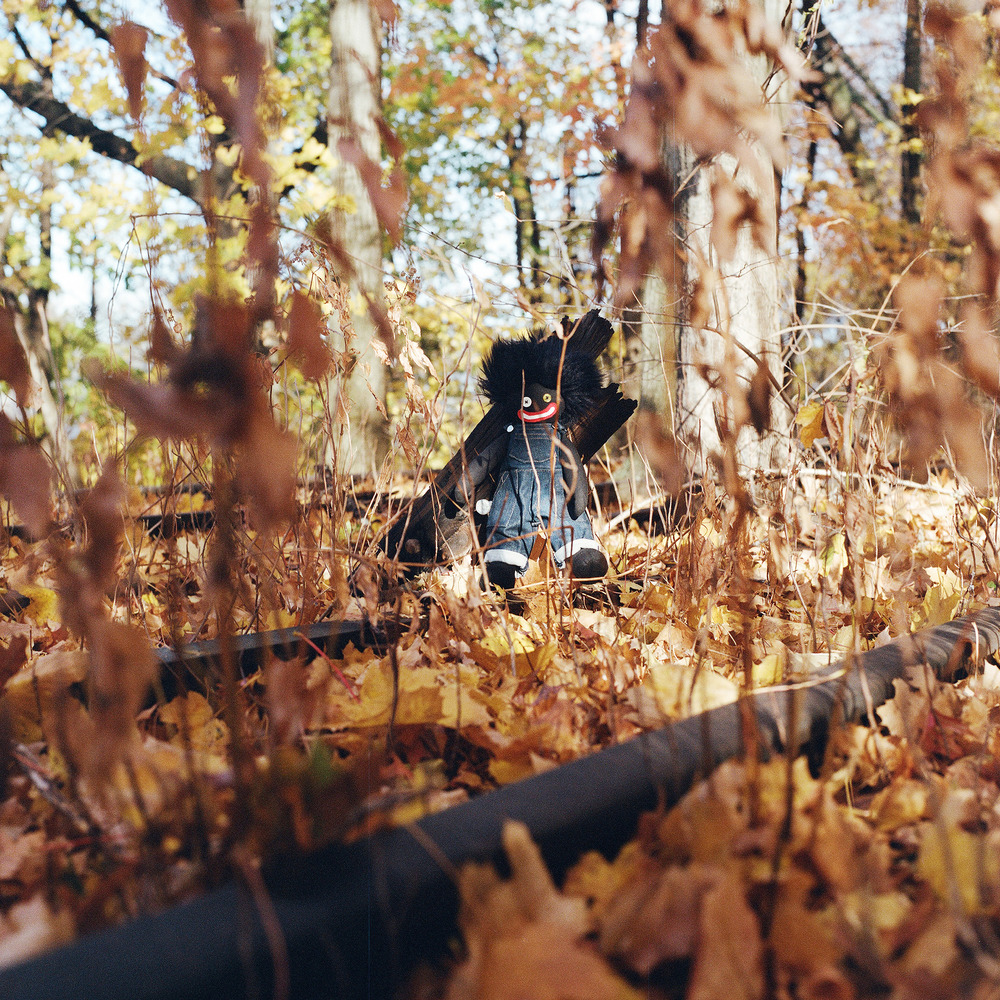 Album Cover for Billy Woods&rsquo;s 2025 album &ldquo;Golliwog&rdquo;